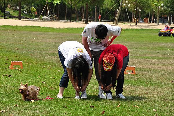 DSC_0377.JPG DSC_0377.JPG