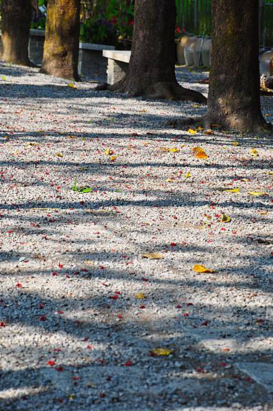 DSC_0266.JPG DSC_0266.JPG