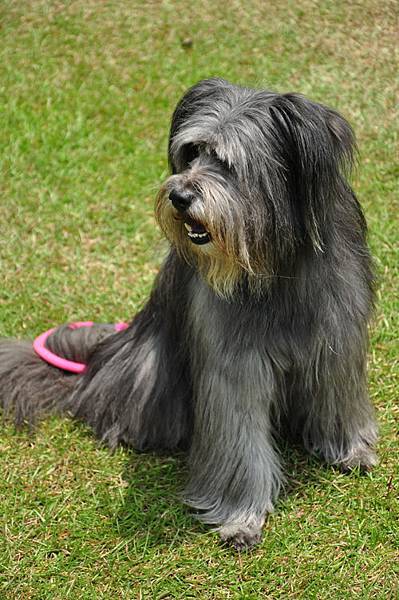 DSC_0444.JPG DSC_0444.JPG