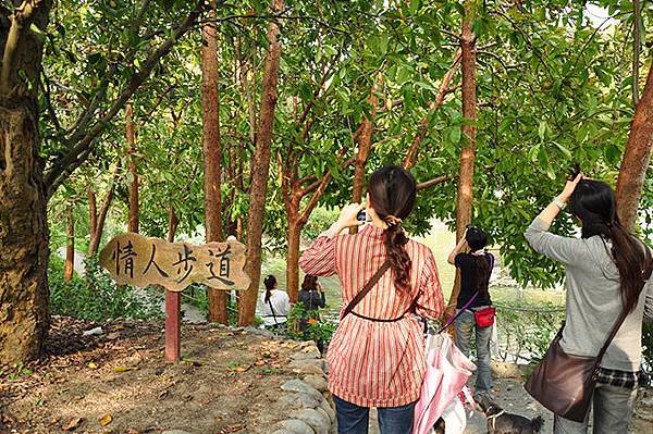 DSC_0051.JPG DSC_0051.JPG