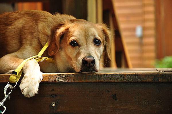 DSC_00070.JPG DSC_00070.JPG