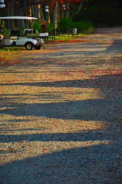 DSC_0252.JPG DSC_0252.JPG