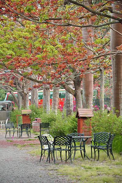 DSC_0173.JPG DSC_0173.JPG