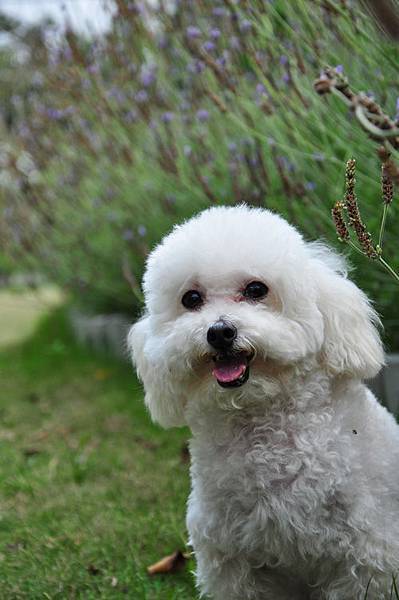 DSC_0162.JPG DSC_0162.JPG