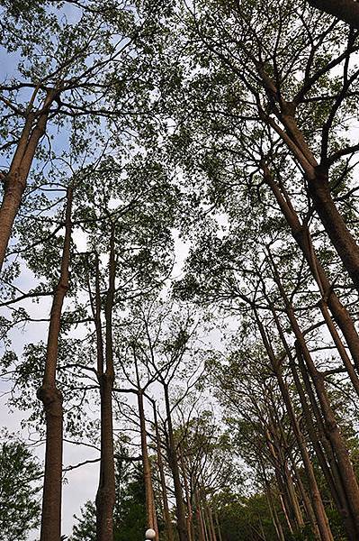 DSC_0087.JPG DSC_0087.JPG