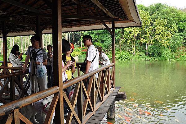 DSC_0083.JPG DSC_0083.JPG