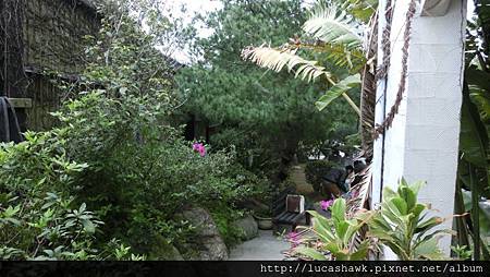 CIMG1819.JPG CIMG1819.JPG