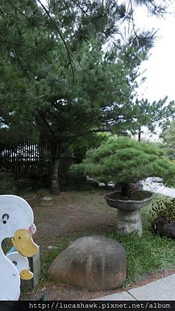 CIMG1821.JPG CIMG1821.JPG