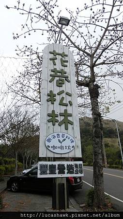 CIMG1827.JPG CIMG1827.JPG