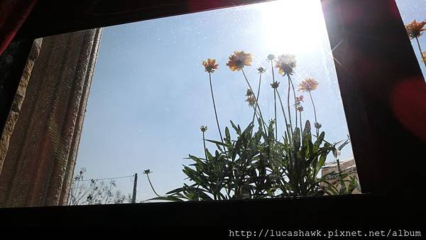 CIMG0999.JPG CIMG0999.JPG