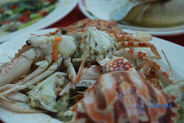 Susan-134.jpg Susan-134.jpg