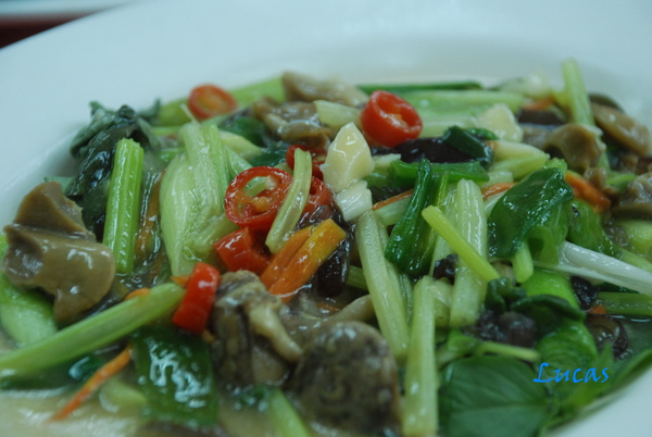 Susan-132.jpg Susan-132.jpg