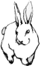 animals03.gif animals03.gif