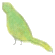 bird11.gif bird11.gif