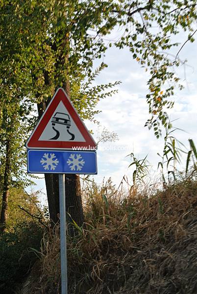 6.DSC_3988 6.DSC_3988