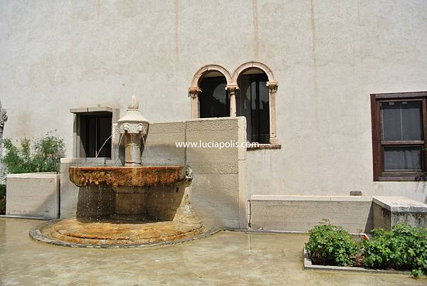 DSC_2595 DSC_2595