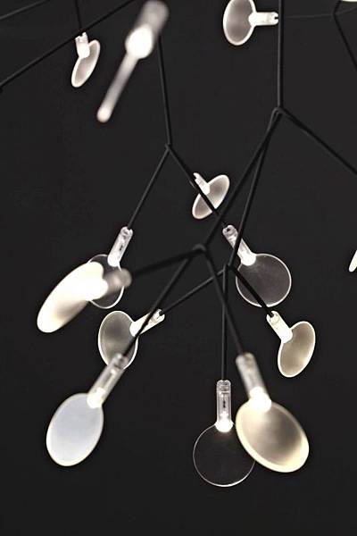 heracleum_nickel_detail_3.jpg heracleum_nickel_detail_3.jpg