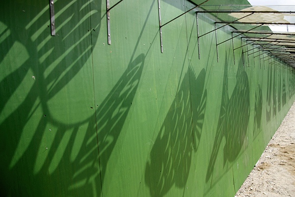 Shadow City 008 600px.jpg Shadow City 008 600px.jpg