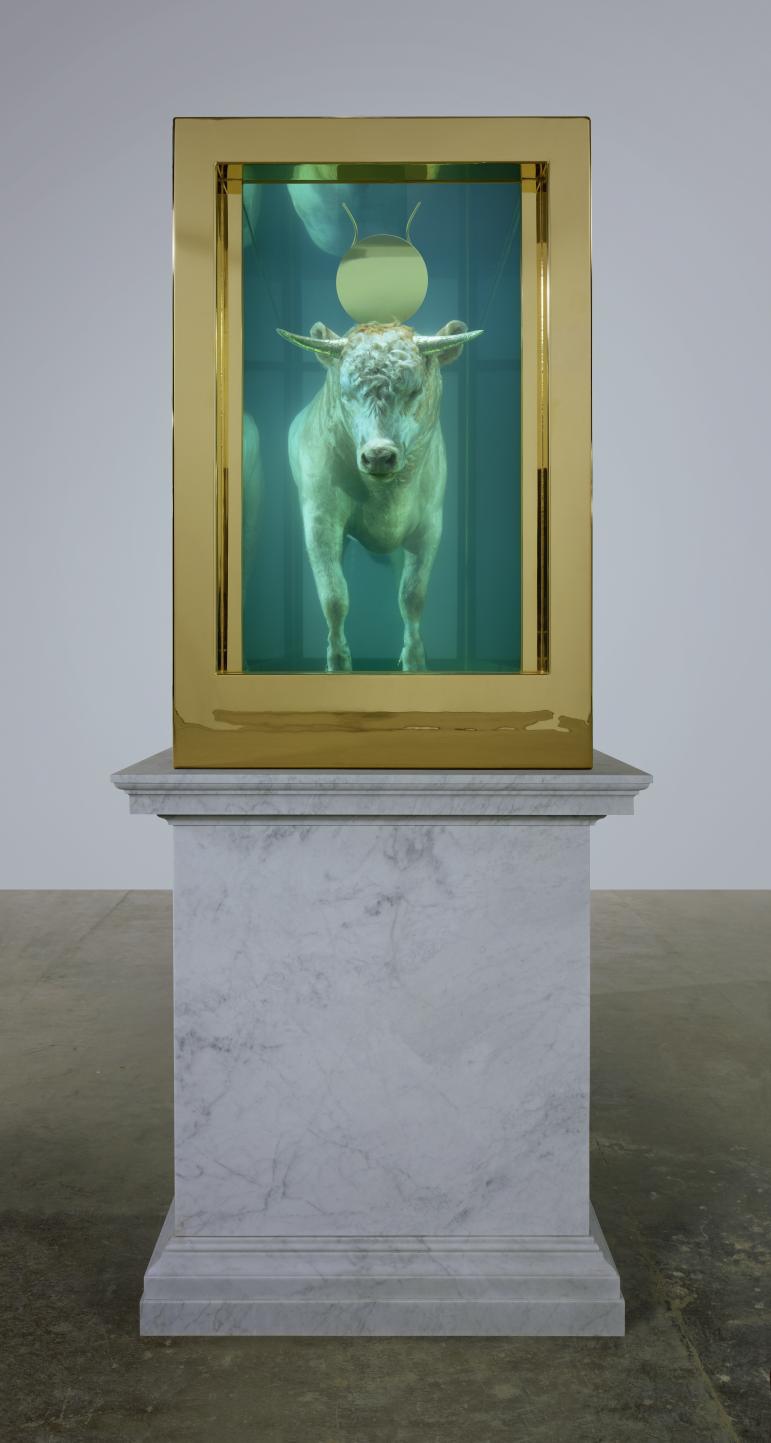 DHS7856CalfEndPlinth_771_0 DHS7856CalfEndPlinth_771_0