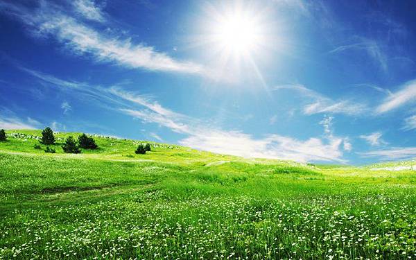 6873_The-smile-of-sun-over-the-beautiful-nature-HD-wallpaper