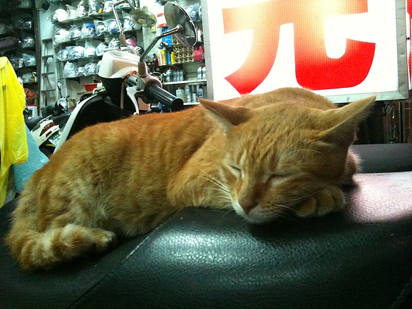 09d6dbca1448ba9d34c3d4ffba6b2a7a.jpg?v=1287938659 09d6dbca1448ba9d34c3d4ffba6b2a7a.jpg?v=1287938659