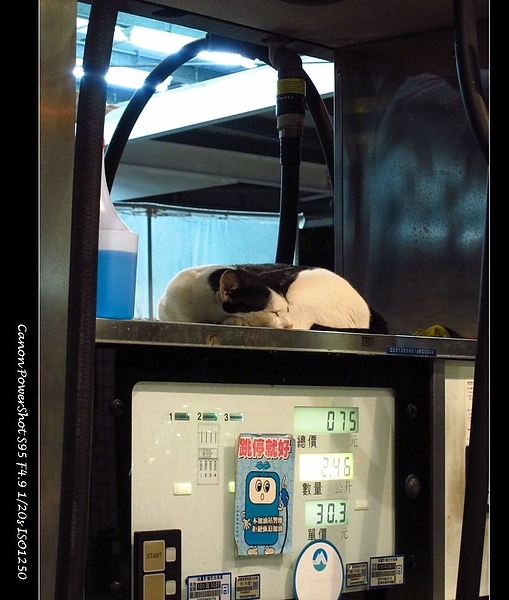 b0f727961af53998ec9ddb8ddbd21c29.jpg?v=1287498427 b0f727961af53998ec9ddb8ddbd21c29.jpg?v=1287498427