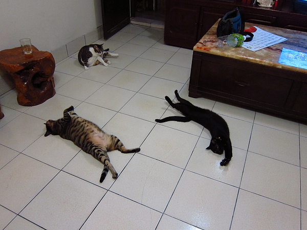 e8bcd4bfe46b65821bfd8256d90531f1.jpg?v=1290405903 e8bcd4bfe46b65821bfd8256d90531f1.jpg?v=1290405903