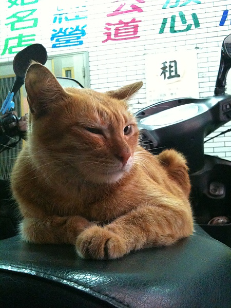 eb1d2ae83261f4513bd0b4616b1806dd.jpg?v=1287938659 eb1d2ae83261f4513bd0b4616b1806dd.jpg?v=1287938659