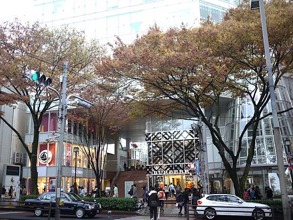 P1080988.jpg P1080988.jpg