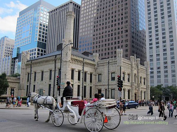 IMG_5565.JPG IMG_5565.JPG