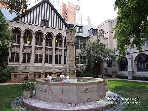 P9040819.JPG P9040819.JPG