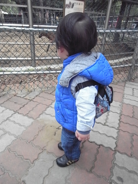 R0012073.JPG R0012073.JPG