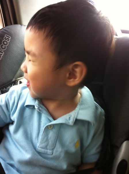 IMG_0028.jpg IMG_0028.jpg