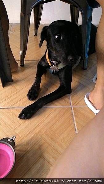 2014-08-24 16.15.12 2014-08-24 16.15.12