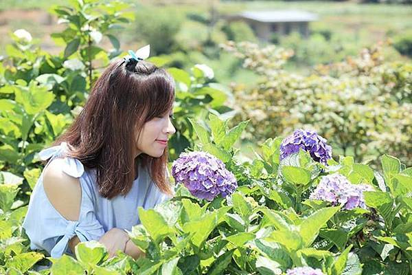 1045226_10201220149453437_1844900603_n