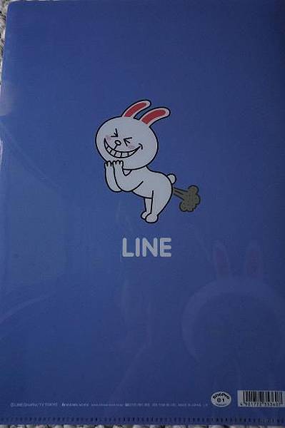 LINE 13