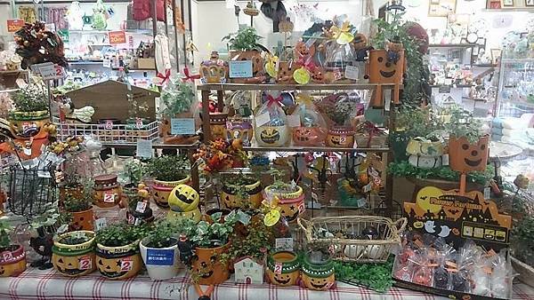 10712876_568898053239976_5452920098384281699_n 10712876_568898053239976_5452920098384281699_n