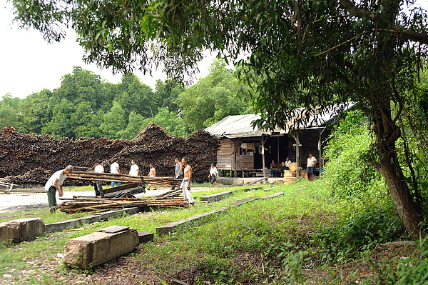 DSC_5405.jpg DSC_5405.jpg