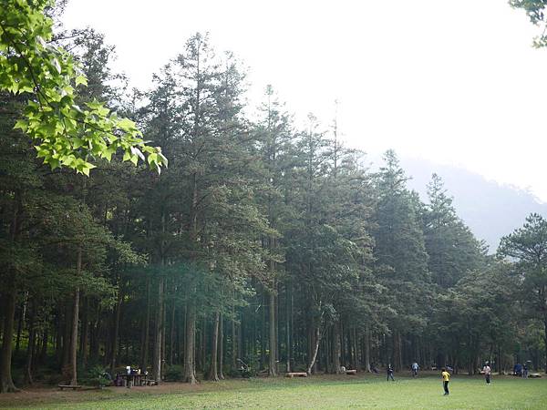 P1000680 P1000680