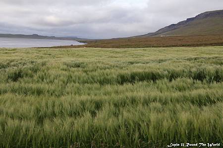 IMG_7952.JPG IMG_7952.JPG