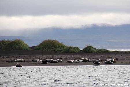 IMG_7963.JPG IMG_7963.JPG