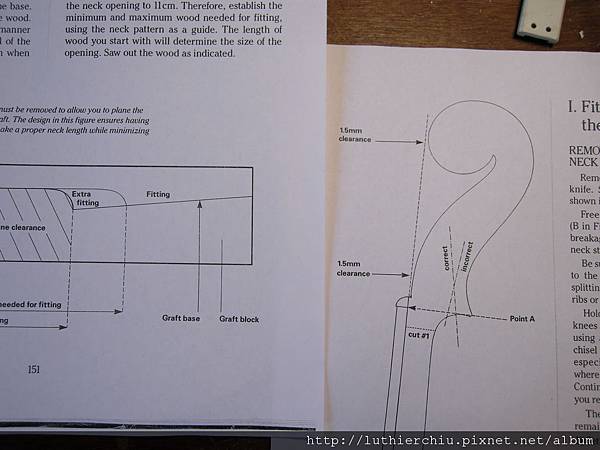 neck graft_10.JPG