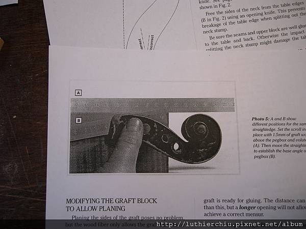 neck graft_11.JPG