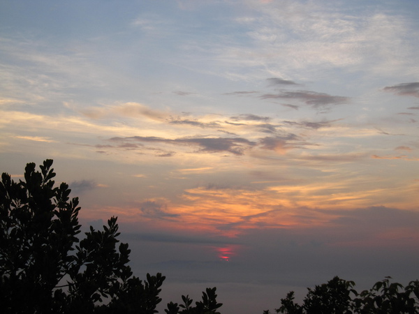 IMG_9337.JPG IMG_9337.JPG