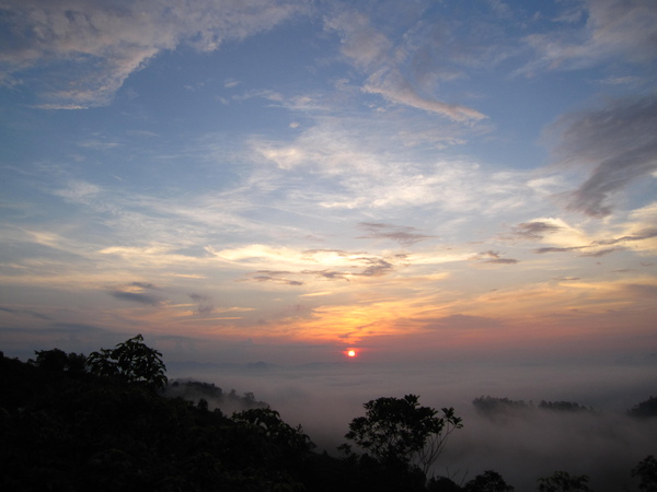 IMG_9351.JPG IMG_9351.JPG