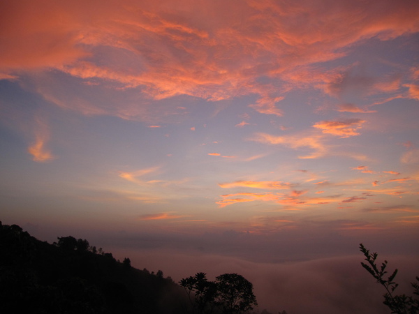 IMG_9323.JPG IMG_9323.JPG