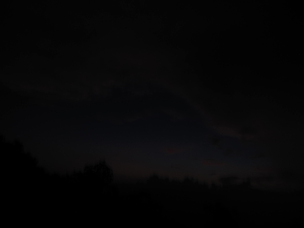 IMG_9254.JPG IMG_9254.JPG