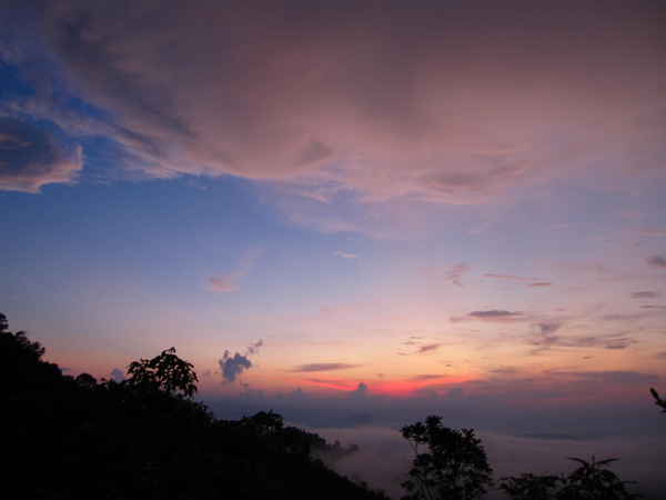 IMG_9293.JPG IMG_9293.JPG