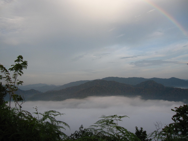 IMG_9372.JPG IMG_9372.JPG