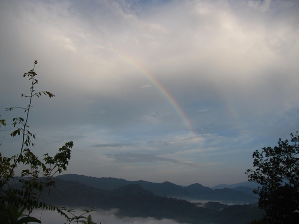 IMG_9377.JPG IMG_9377.JPG